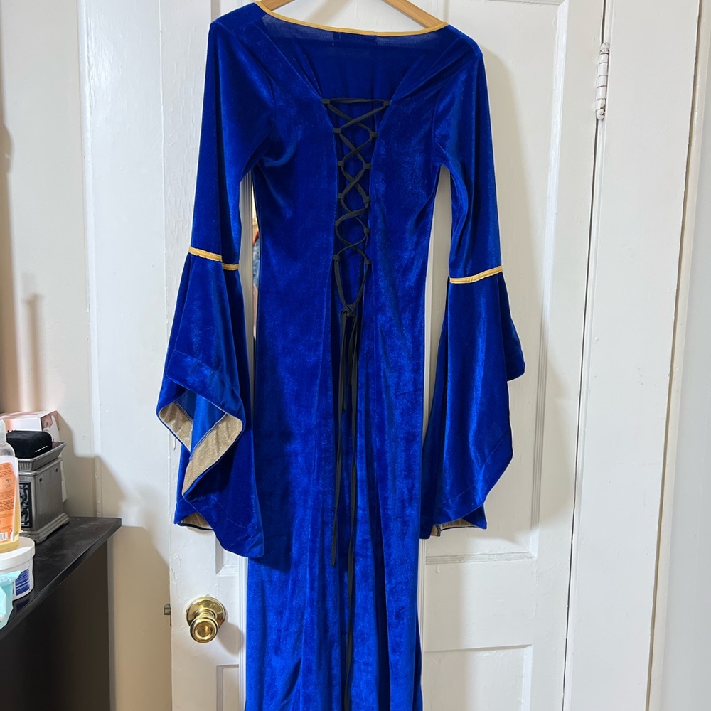Deep Blue Velvet & Gold Long Sleeve Medieval/ Renaissance Style Dress, Cosplay - Picture 3 of 4